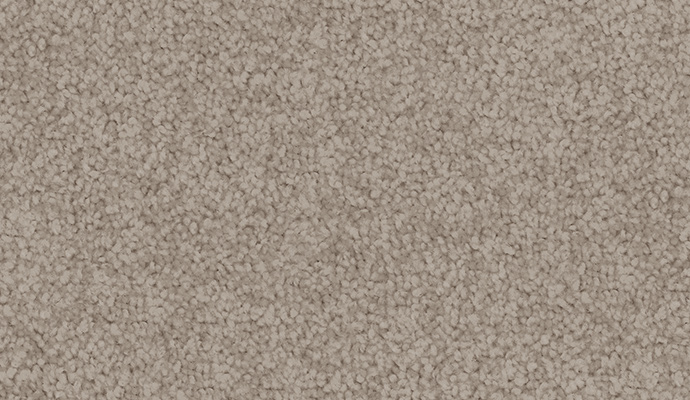 carpet-sheer_wonder-papyrus-floor-godfrey_hirst