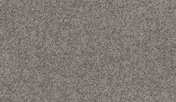 carpet-sheer_wonder-summer_storm-floor-godfrey_hirst