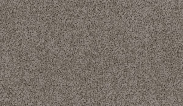 carpet-sheer_wonder-trilby-floor-godfrey_hirst carpet-sheer_wonder-trilby-floor-godfrey_hirst
