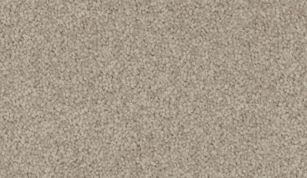 carpet-velvet_appeal-alpaca-floor-godfrey_hirst