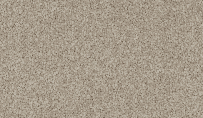 carpet-velvet_appeal-alpaca-floor-godfrey_hirst