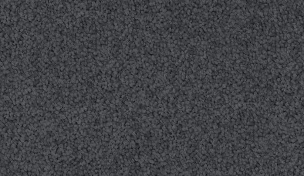 carpet-velvet_appeal-dark_whale-floor-godfrey_hirst carpet-velvet_appeal-dark_whale-floor-godfrey_hirst