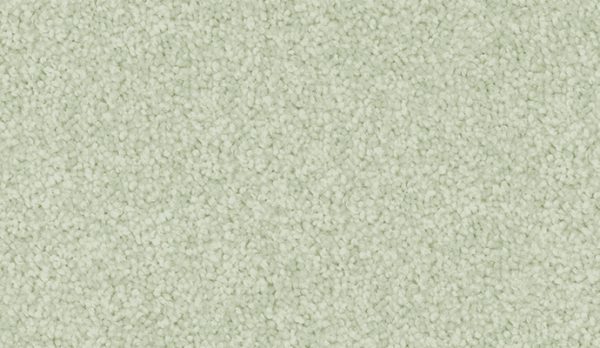 carpet-velvet_appeal-green_bud-floor-godfrey_hirst carpet-velvet_appeal-green_bud-floor-godfrey_hirst