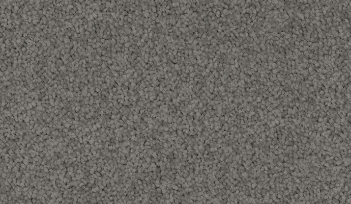 carpet-velvet_appeal-grey_calm-floor-godfrey_hirst