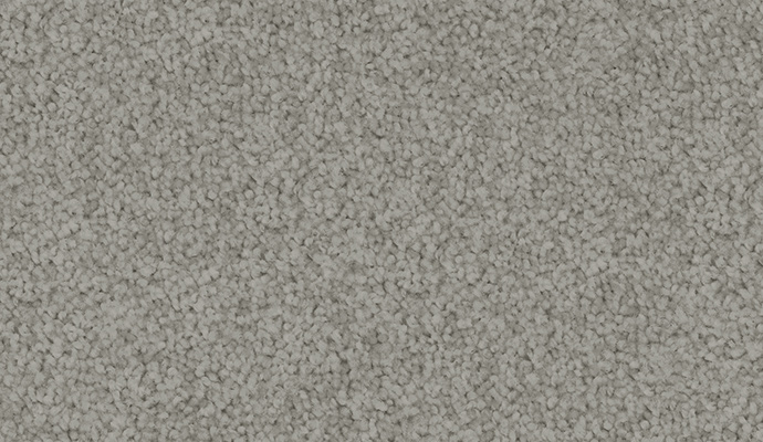 carpet-velvet_appeal-grey_concrete-floor-godfrey_hirst