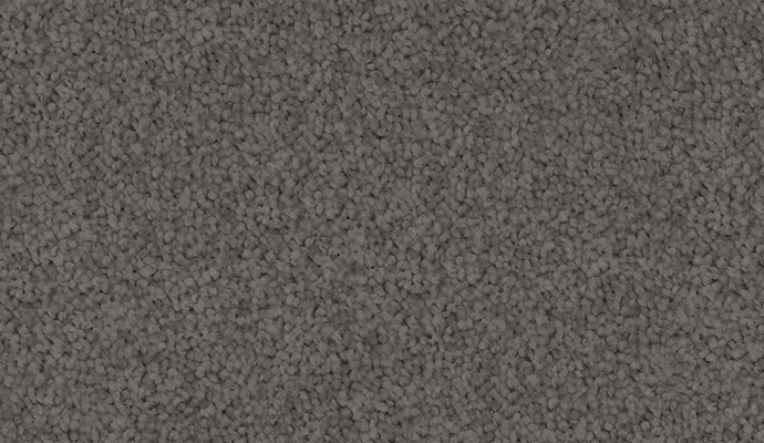 carpet-velvet_appeal-night_horizon-floor-godfrey_hirst carpet-velvet_appeal-night_horizon-floor-godfrey_hirst