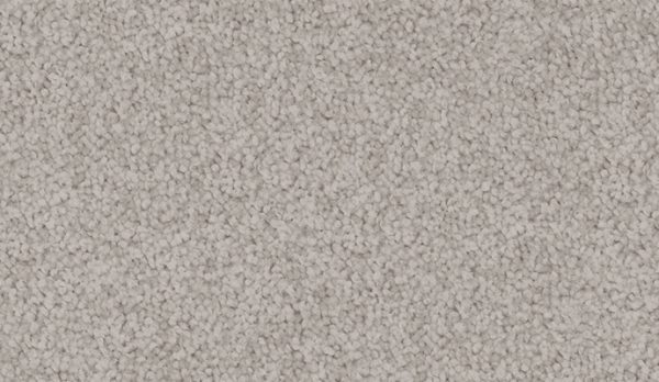 carpet-velvet_appeal-silk_grey-floor-godfrey_hirst carpet-velvet_appeal-silk_grey-floor-godfrey_hirst