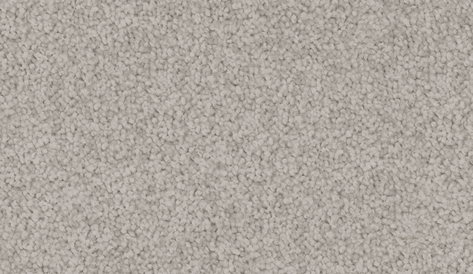 carpet-velvet_appeal-silk_grey-floor-godfrey_hirst carpet-velvet_appeal-silk_grey-floor-godfrey_hirst