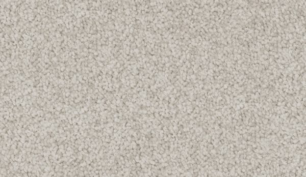 carpet-velvet_appeal-silver_drop-floor-godfrey_hirst