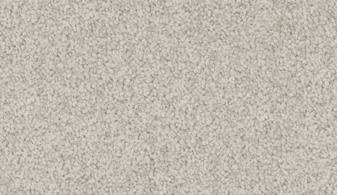 carpet-velvet_appeal-silver_drop-floor-godfrey_hirst