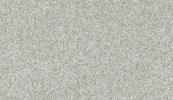 carpet-velvet_appeal-silverton-floor-godfrey_hirst