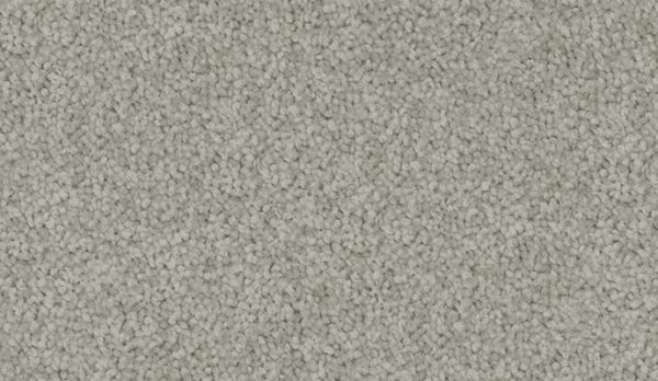 carpet-velvet_appeal-smoky_grey-floor-godfrey_hirst carpet-velvet_appeal-smoky_grey-floor-godfrey_hirst