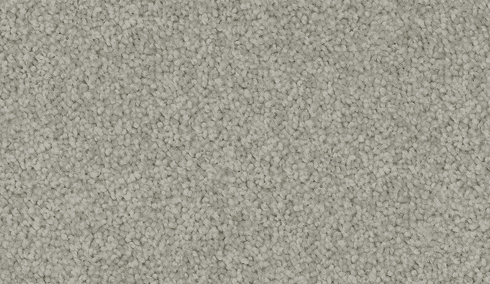 carpet-velvet_appeal-smoky_grey-floor-godfrey_hirst carpet-velvet_appeal-smoky_grey-floor-godfrey_hirst