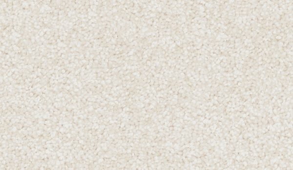 carpet-winter_charm-bleached_shell-floor-godfrey_hirst carpet-winter_charm-bleached_shell-floor-godfrey_hirst