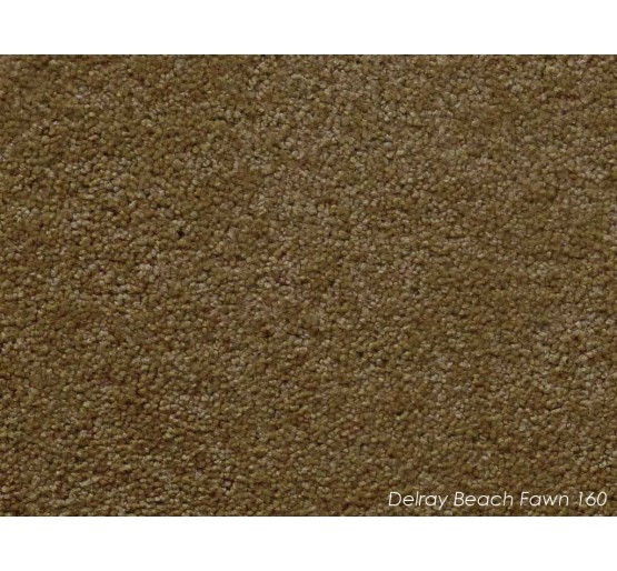 Delray_Beach_Fawn_160_9