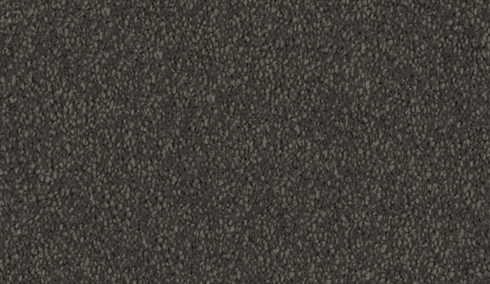 carpet-evening_hues-twilight-floor-godfrey_hirst carpet-evening_hues-twilight-floor-godfrey_hirst