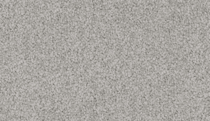 carpet-luxury_appeal-grey_fog-floor-godfrey_hirst carpet-luxury_appeal-grey_fog-floor-godfrey_hirst