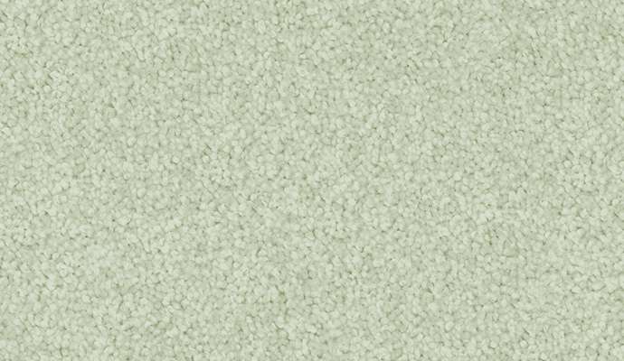 carpet-luxury_appeal-sea_spray-floor-godfrey_hirst carpet-luxury_appeal-sea_spray-floor-godfrey_hirst