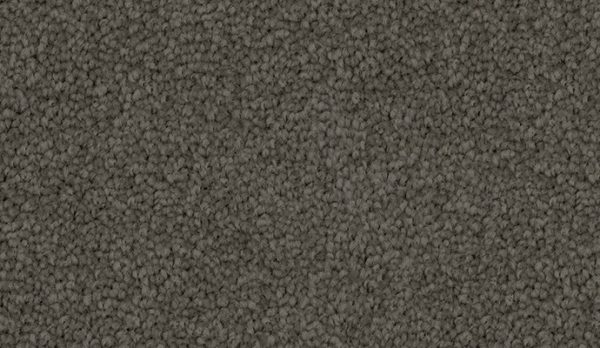 carpet-penny_lane-android-floor-godfrey_hirst carpet-penny_lane-android-floor-godfrey_hirst