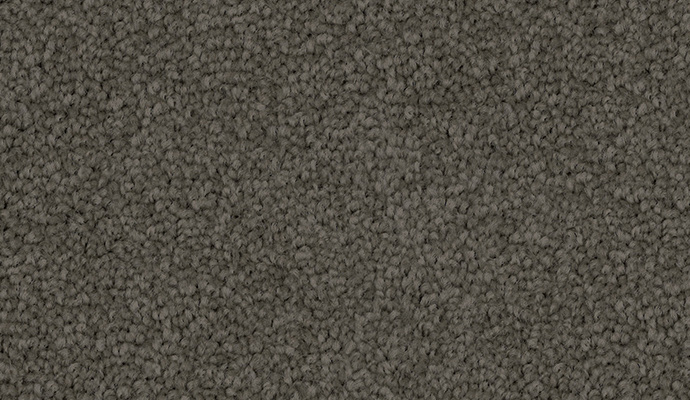 carpet-penny_lane-android-floor-godfrey_hirst carpet-penny_lane-android-floor-godfrey_hirst