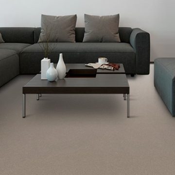 Godfrey Hirst EVENING HUES