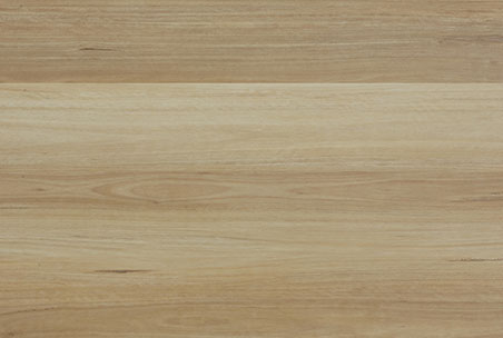 NSW-BLACK-BUTT-940369 NSW-BLACK-BUTT-940369