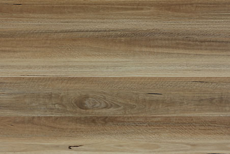 NSW-Spotted-Gum-940370