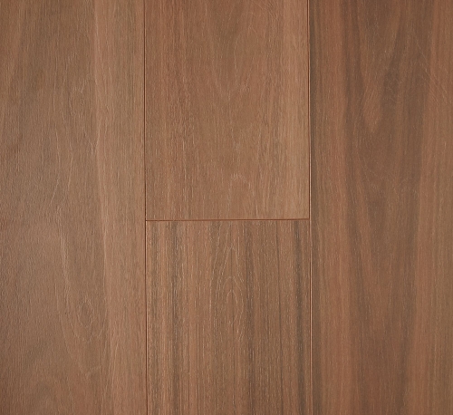 spotted-gum-oakhd-500x458 spotted-gum-oakhd-500x458