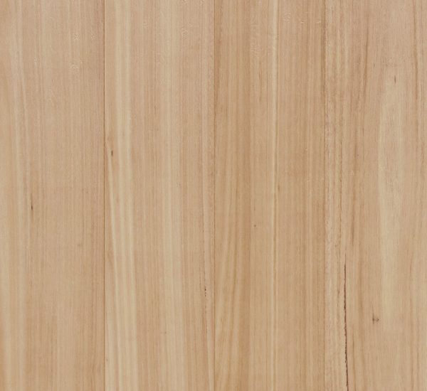 blackbutt-oakhd image