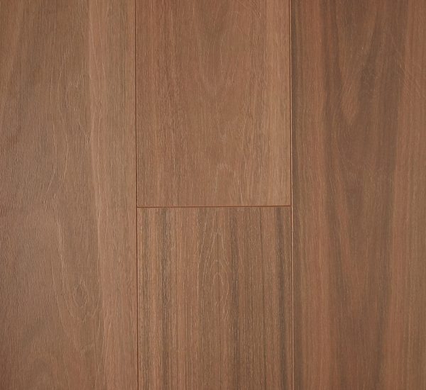 spotted-gum-oakhd img