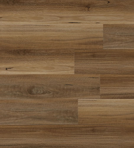 9-AustralianSpottedGum