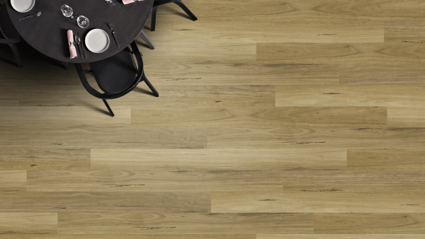 Blackbutt Sandbank (1)