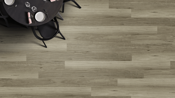 Blackbutt Stormy (1) Blackbutt Stormy (1)