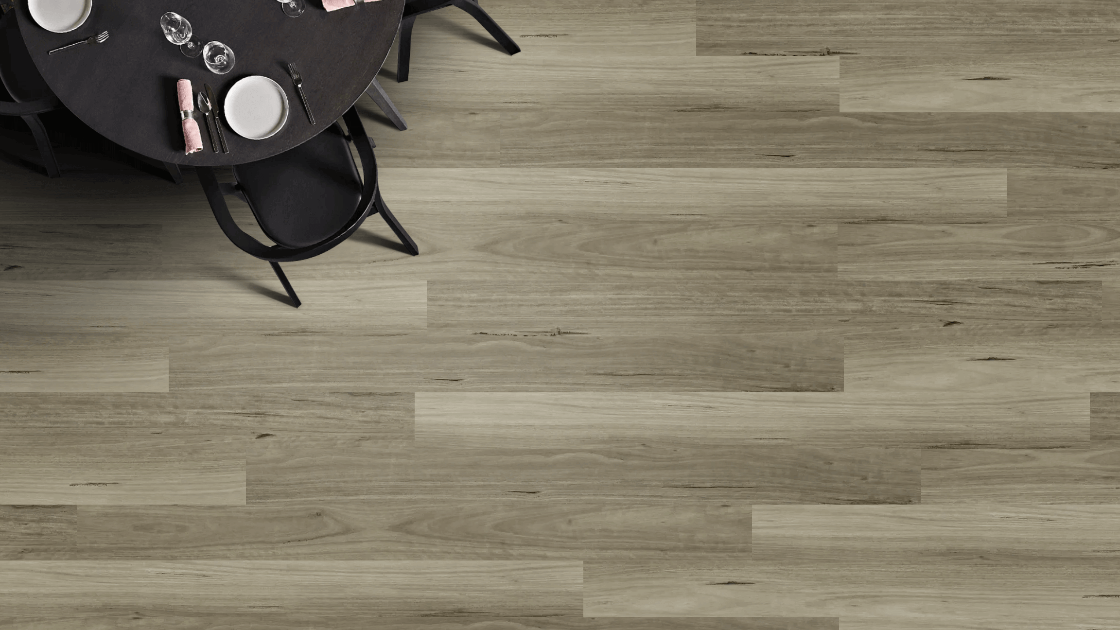 Blackbutt Stormy (1) Blackbutt Stormy (1)