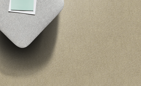 Grey Haze img Grey Haze img