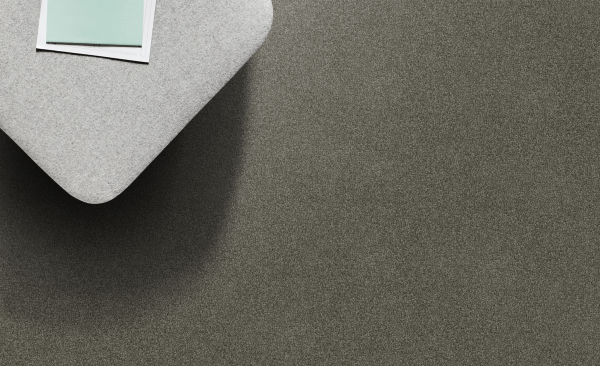 Manatee img Manatee img