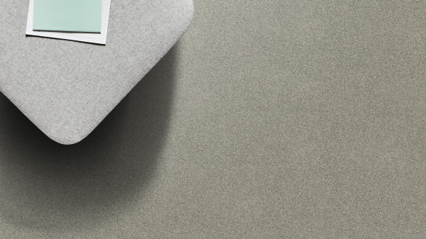 Shark skin Shark skin