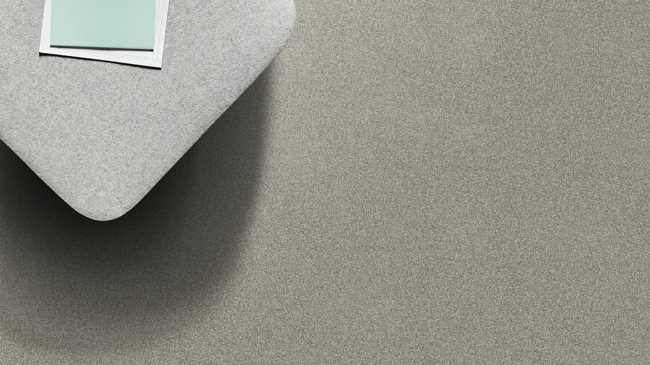 Shark skin Shark skin