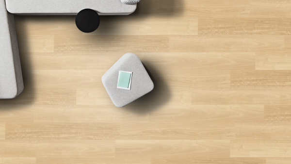 Summer Blackbutt Summer Blackbutt