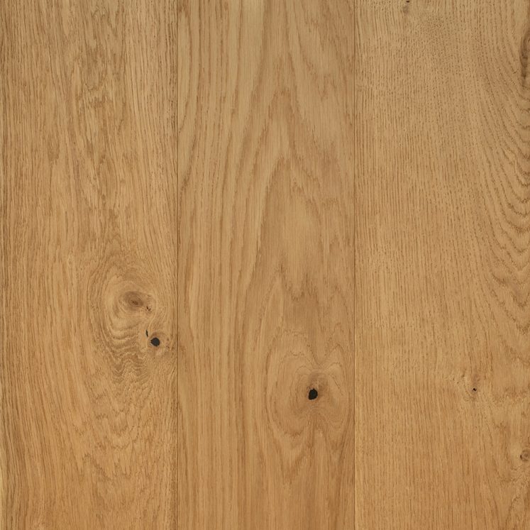 Swatch-Aurora-U1-Murray