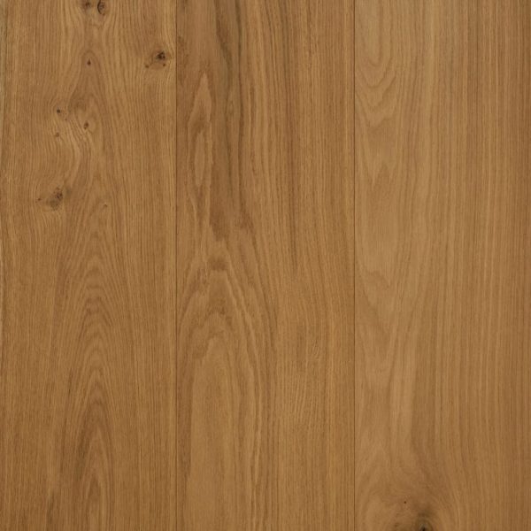 Swatch-Aurora-U3-Swan