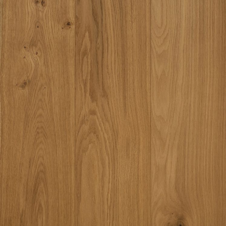 Swatch-Aurora-U3-Swan