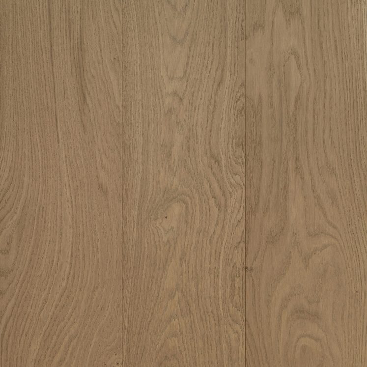 Swatch-Aurora-U5-Lachlan