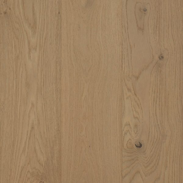 Swatch-Aurora-U6-Barwon