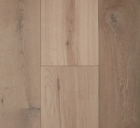 parana-2022 parana-2022