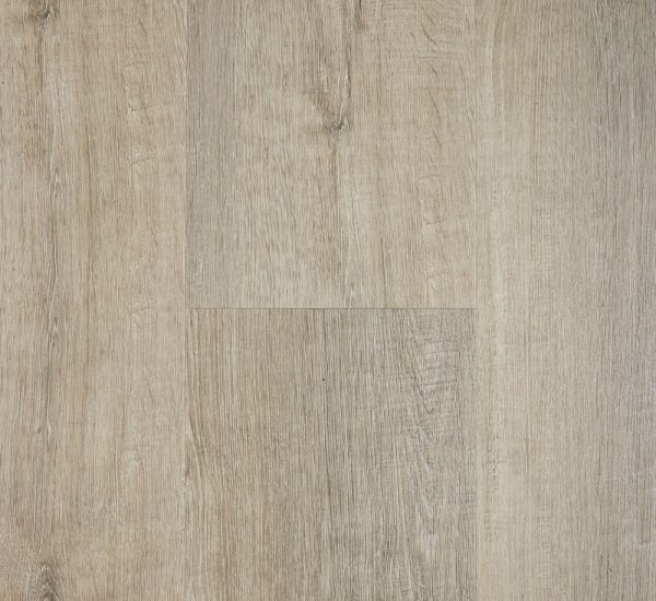 salamander-ultimoseries2