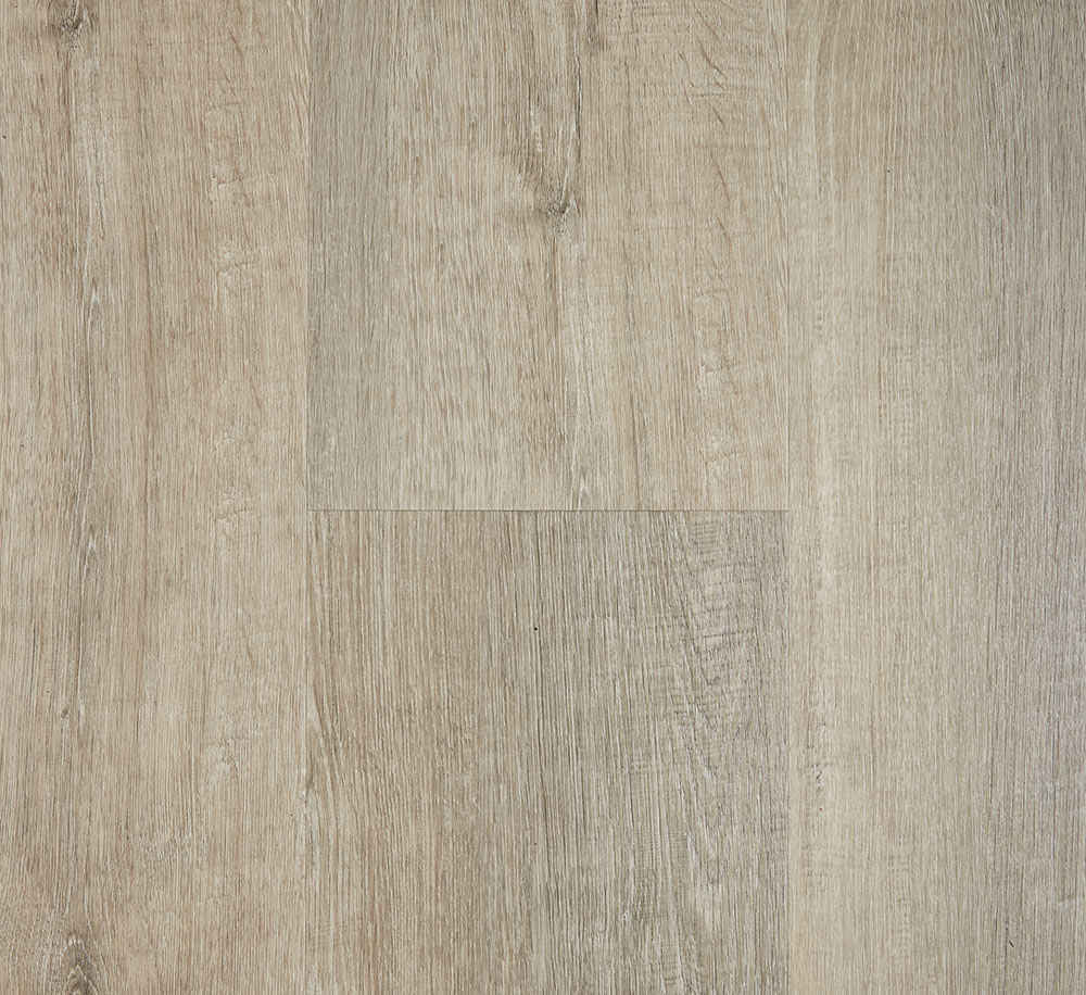 salamander-ultimoseries2