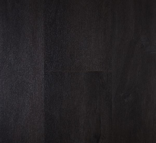 toledo-ultimoseries2